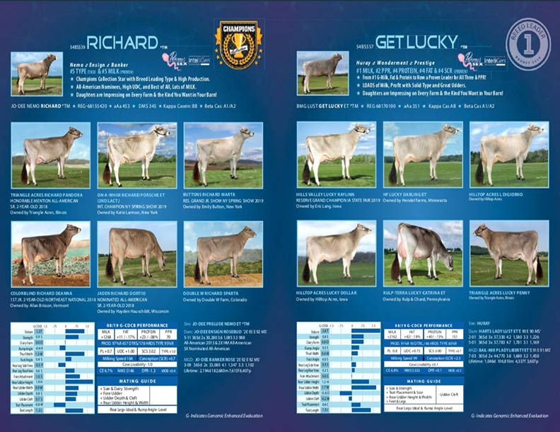 Catalog
