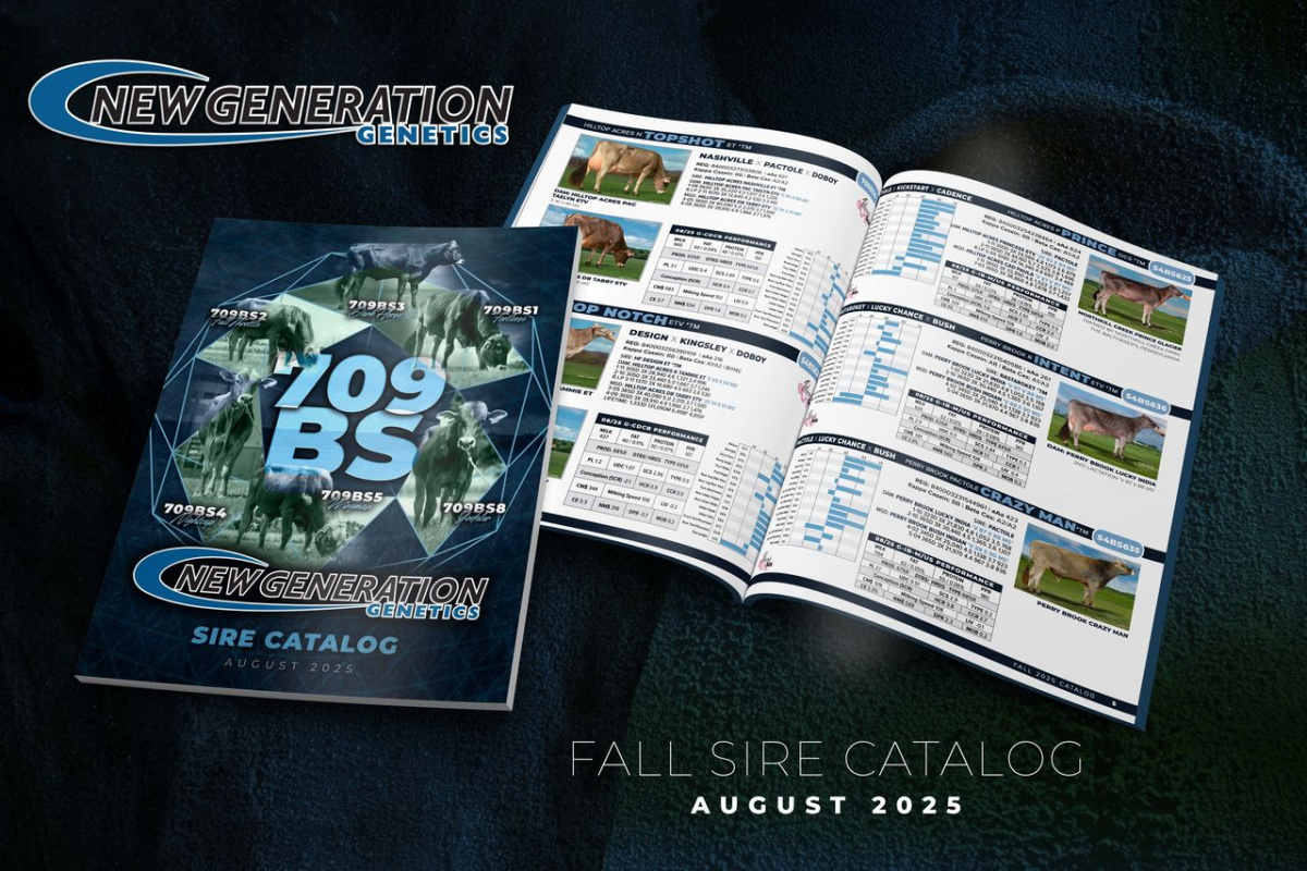 Catalog